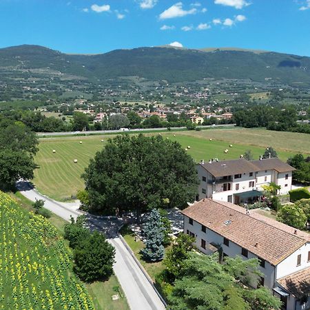 Il Quercione Agriturismo Rivotorto Esterno foto