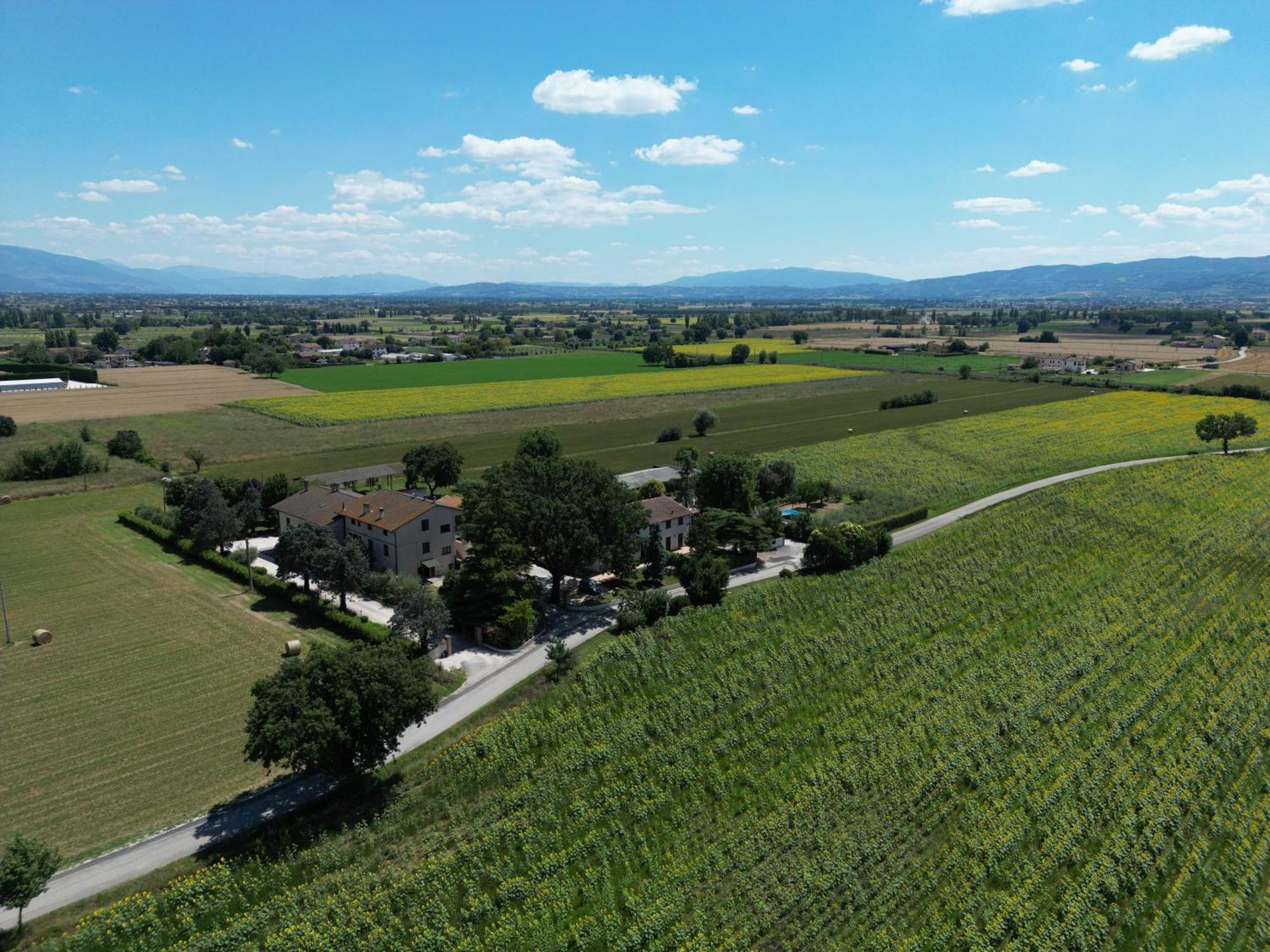Il Quercione Agriturismo Rivotorto Esterno foto